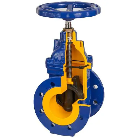 gate valve