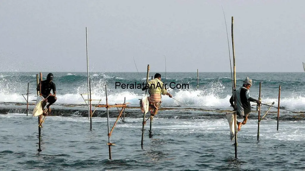 Peralatan Industri & Budidaya Perikanan